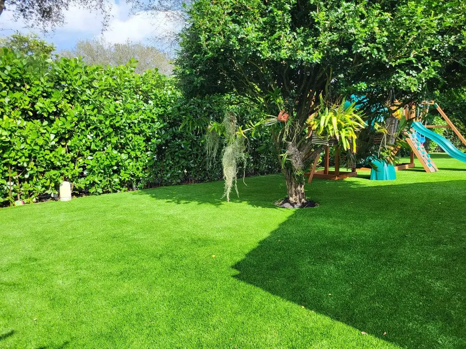 A lush green backyard with trimmed synthetic turf. A playground set with a slide is partially visible on the right. A large tree with hanging moss is in the center, and dense bushes form a leafy backdrop under Tucson AZ's clear blue sky.